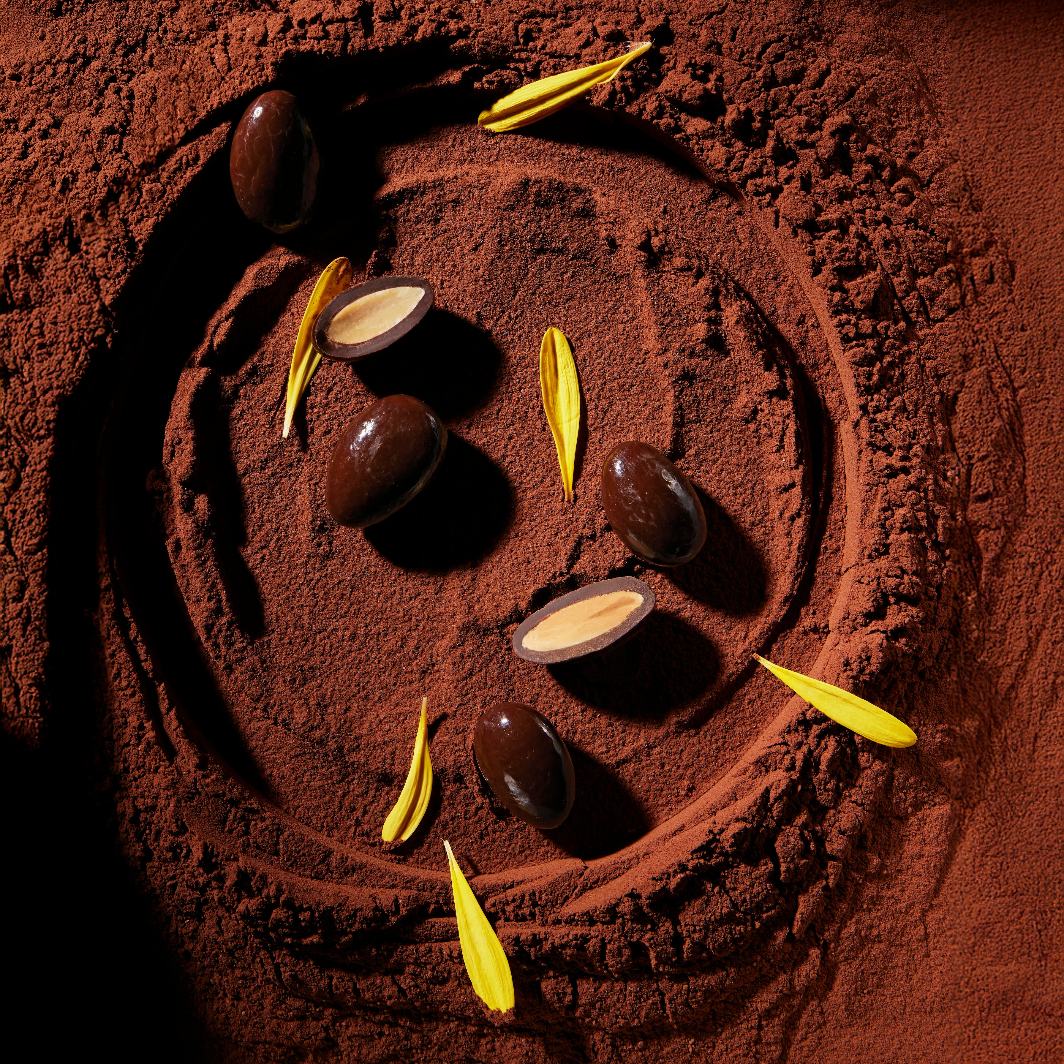 Dark Almond Dragée
