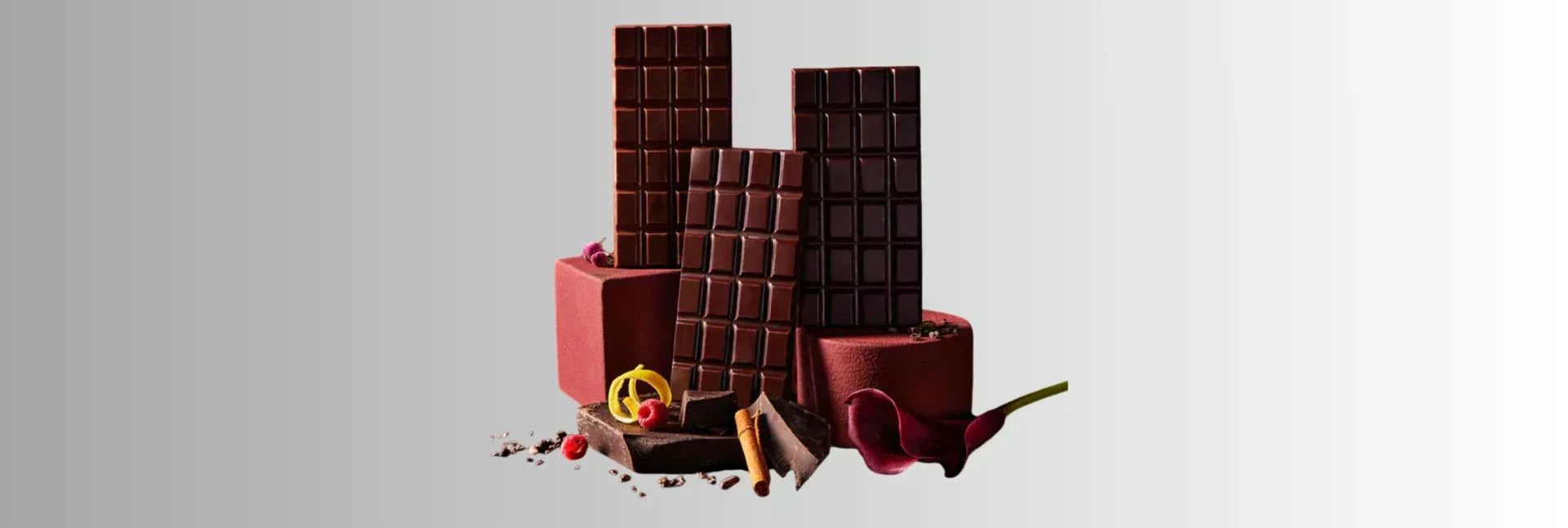 8 Elevated Ways to Explore Single Origin Chocolate Flavors