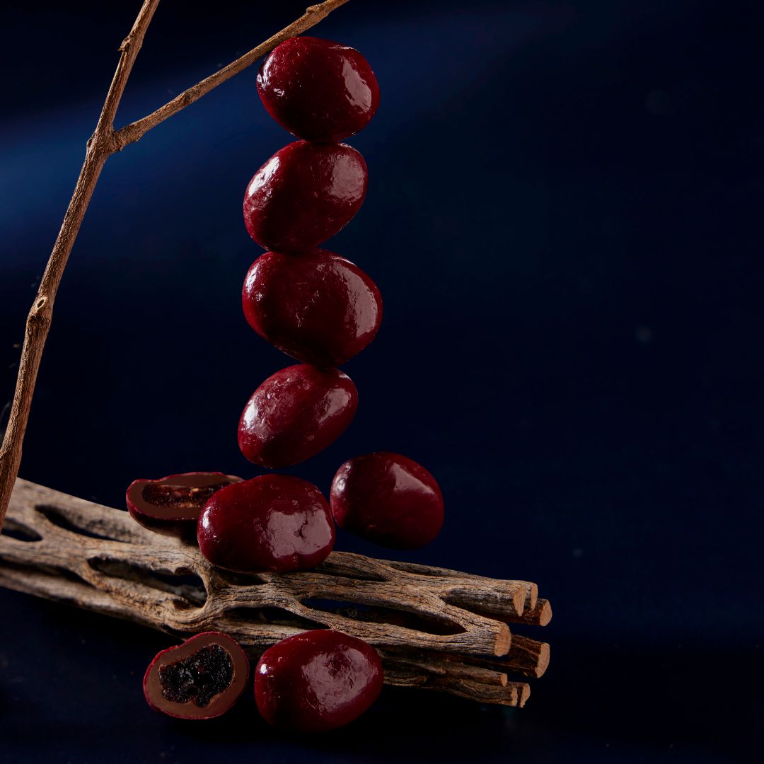 Luxury Cranberry Dragee Chocolate – Gourmet Bite